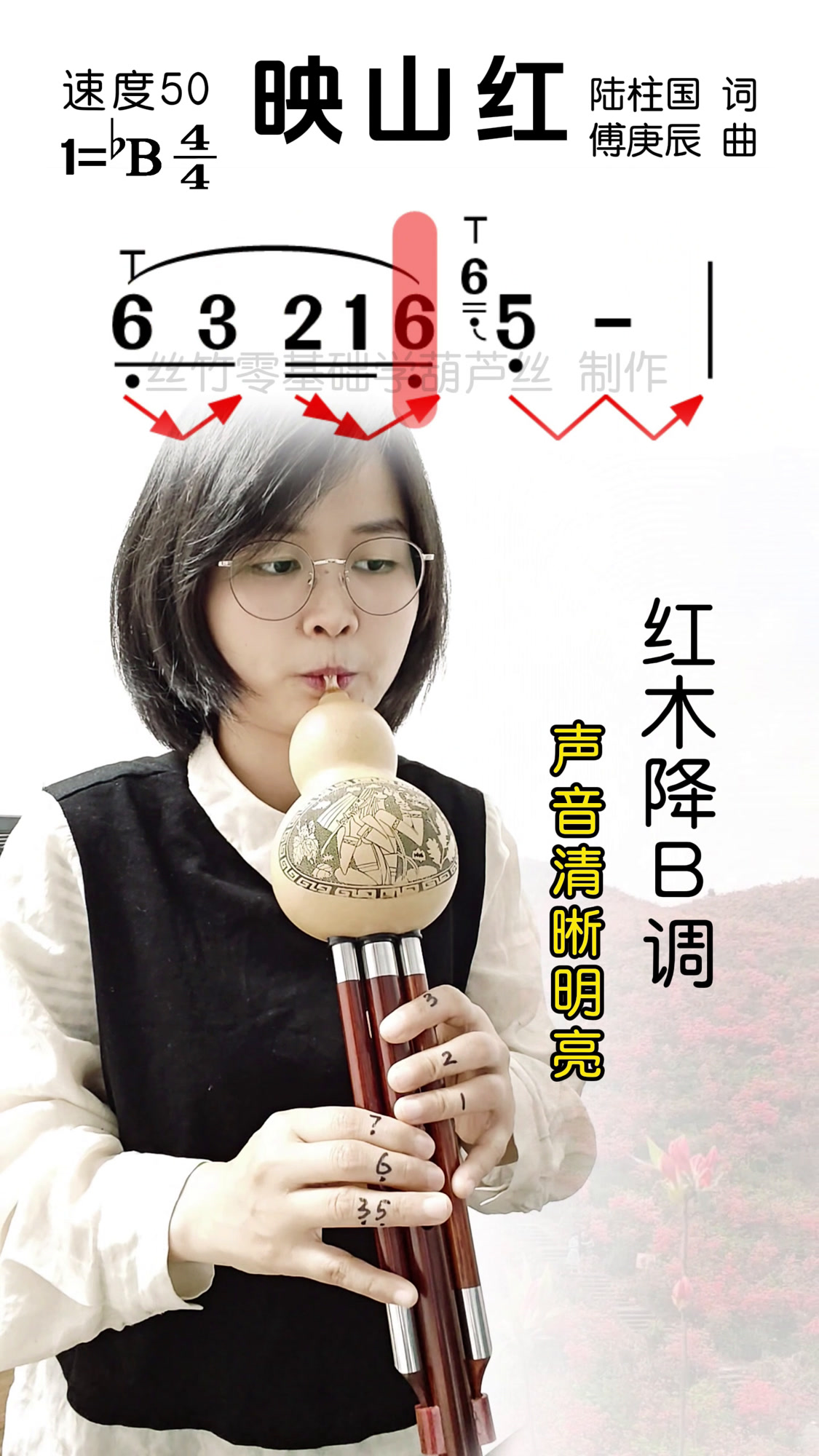 葫芦丝演奏《 映山红》动态简谱示范+唱谱,葫芦丝零基础入门教学
