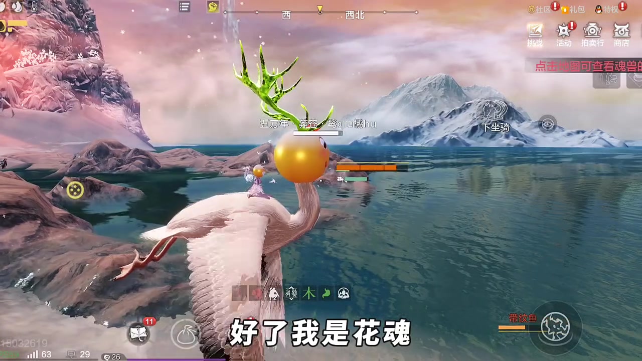 【妄想山海】对野宠极具热爱的玩家!也是很有故事的山海玩家!