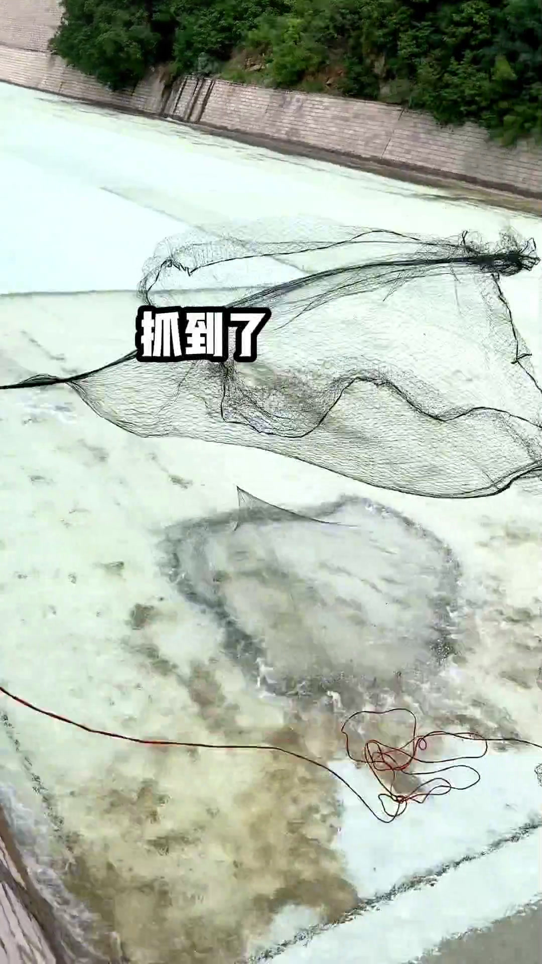 开春了,做个冰雕金鱼缸送给粉丝们