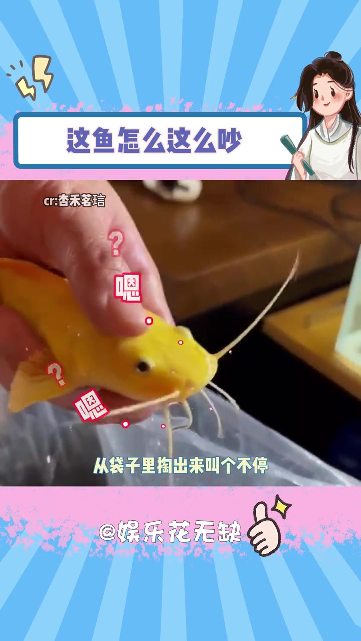这鱼怎么这么吵啊 鱼 幽默 万万没想到