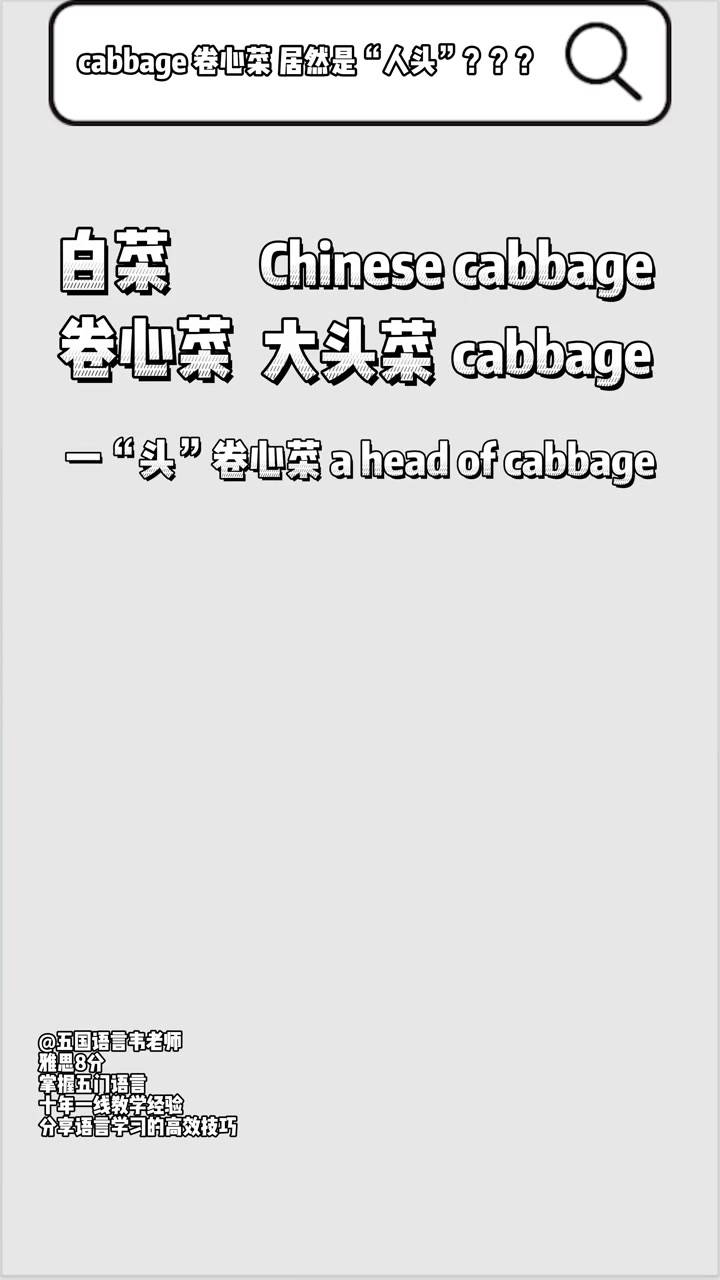 第161集|cabbage 卷心菜 居然是“人头”?背单词 零基础英语 英语没那么难