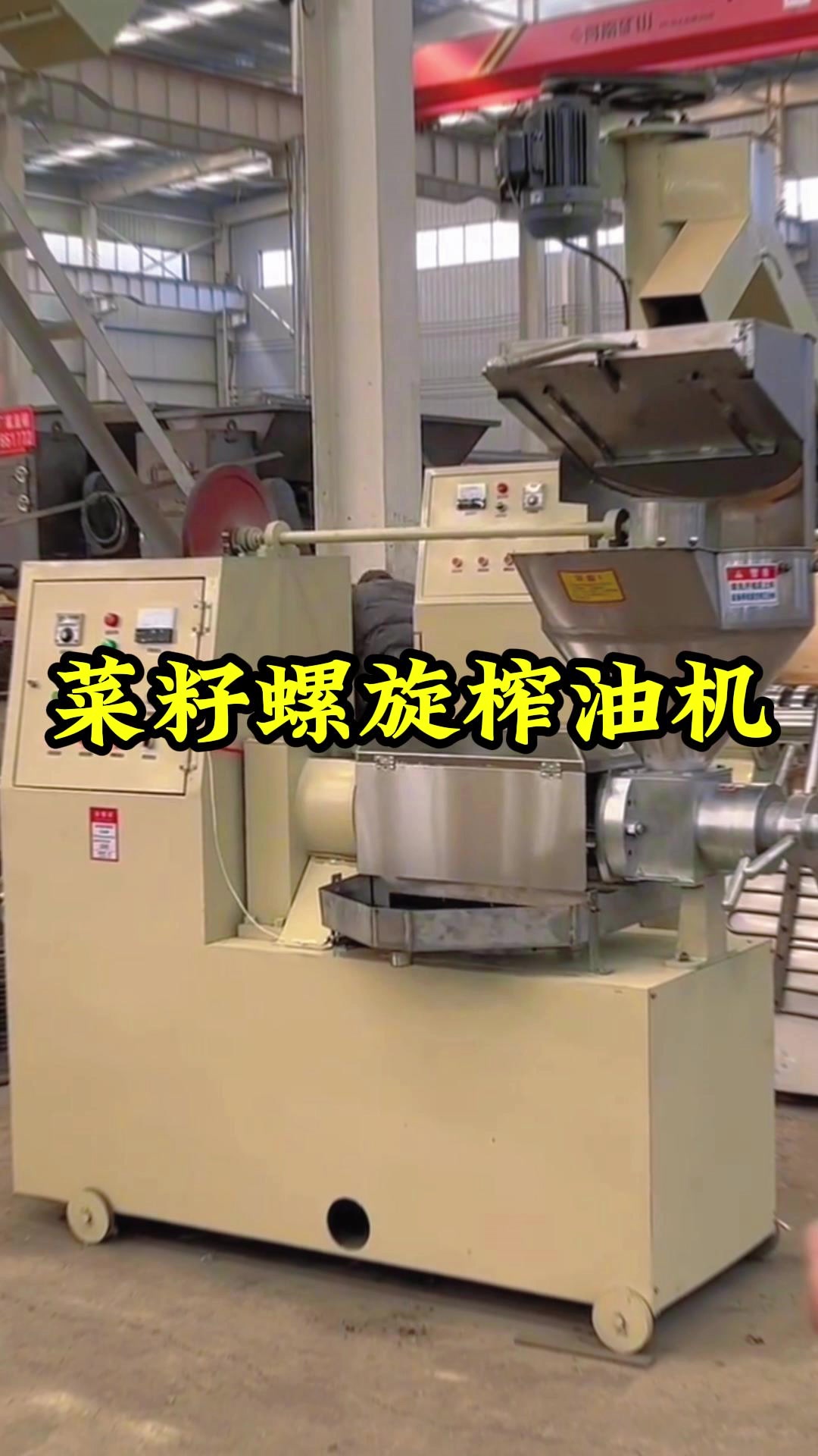 小型商用菜籽榨油机子 芝麻核桃榨油机器 油质纯正乌桕籽榨油设备
