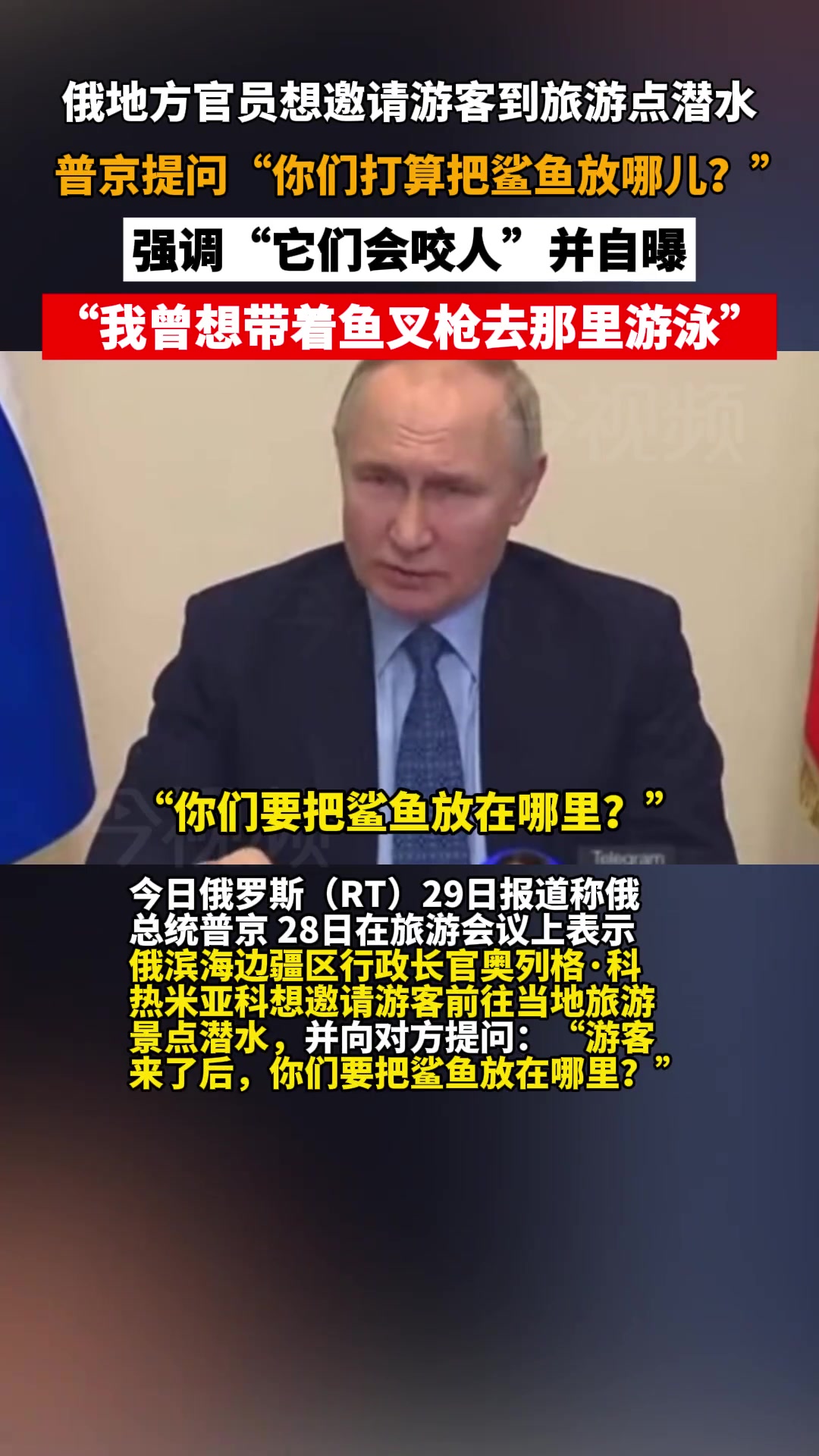 普京自曝曾想带着鱼叉枪去有鲨鱼的地方游泳 俄罗斯 战斗民族 鲨鱼 潜水