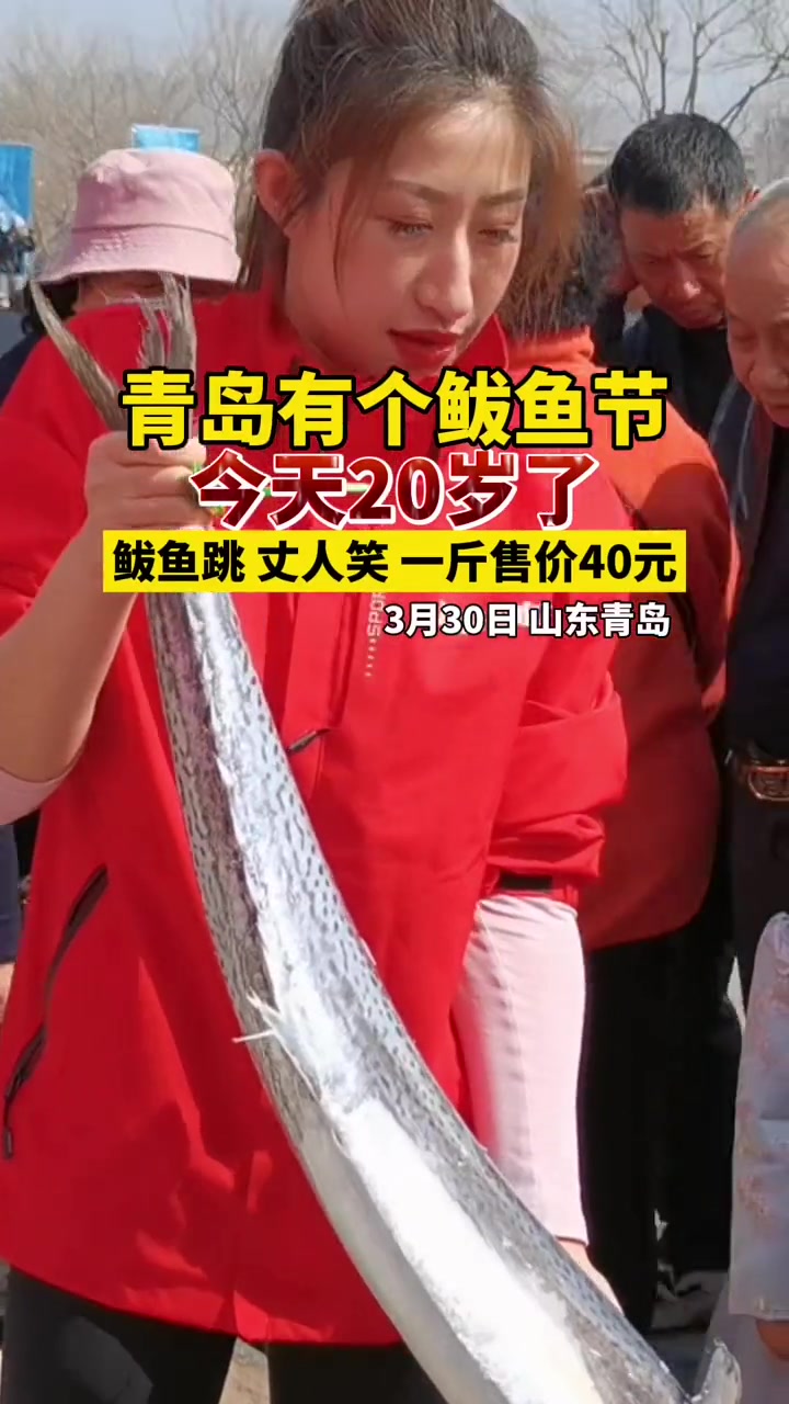 鲅鱼跳,丈人笑!青岛有个鲅鱼节,今天20岁了!40元一斤的鲅鱼,现场很抢手(半岛全媒体记者