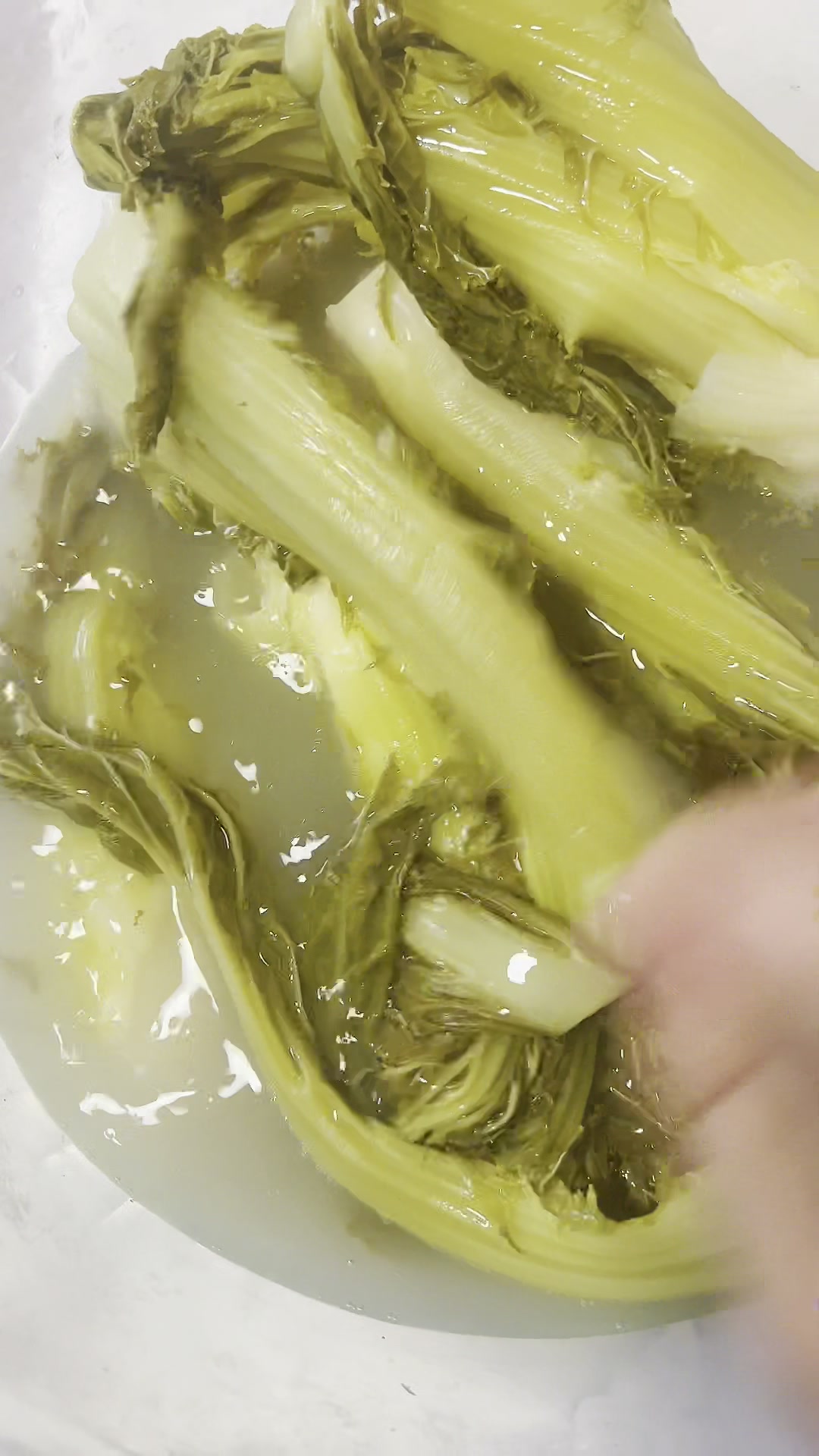 四川无盐酸菜做法分享