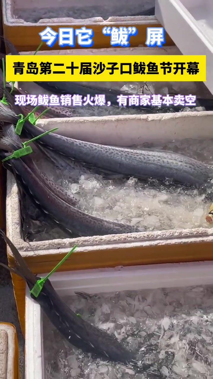 第二十届沙子口鲅鱼节开幕,现场鲅鱼销售火爆