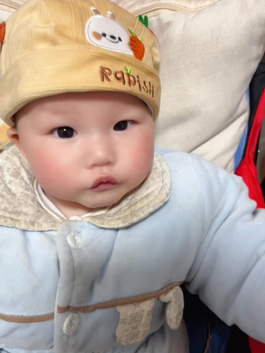 表情包慢慢长大啦