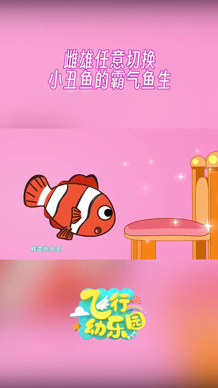 金鹰卡通 飞行幼乐园 雌雄任意切换 小丑鱼的霸气鱼生