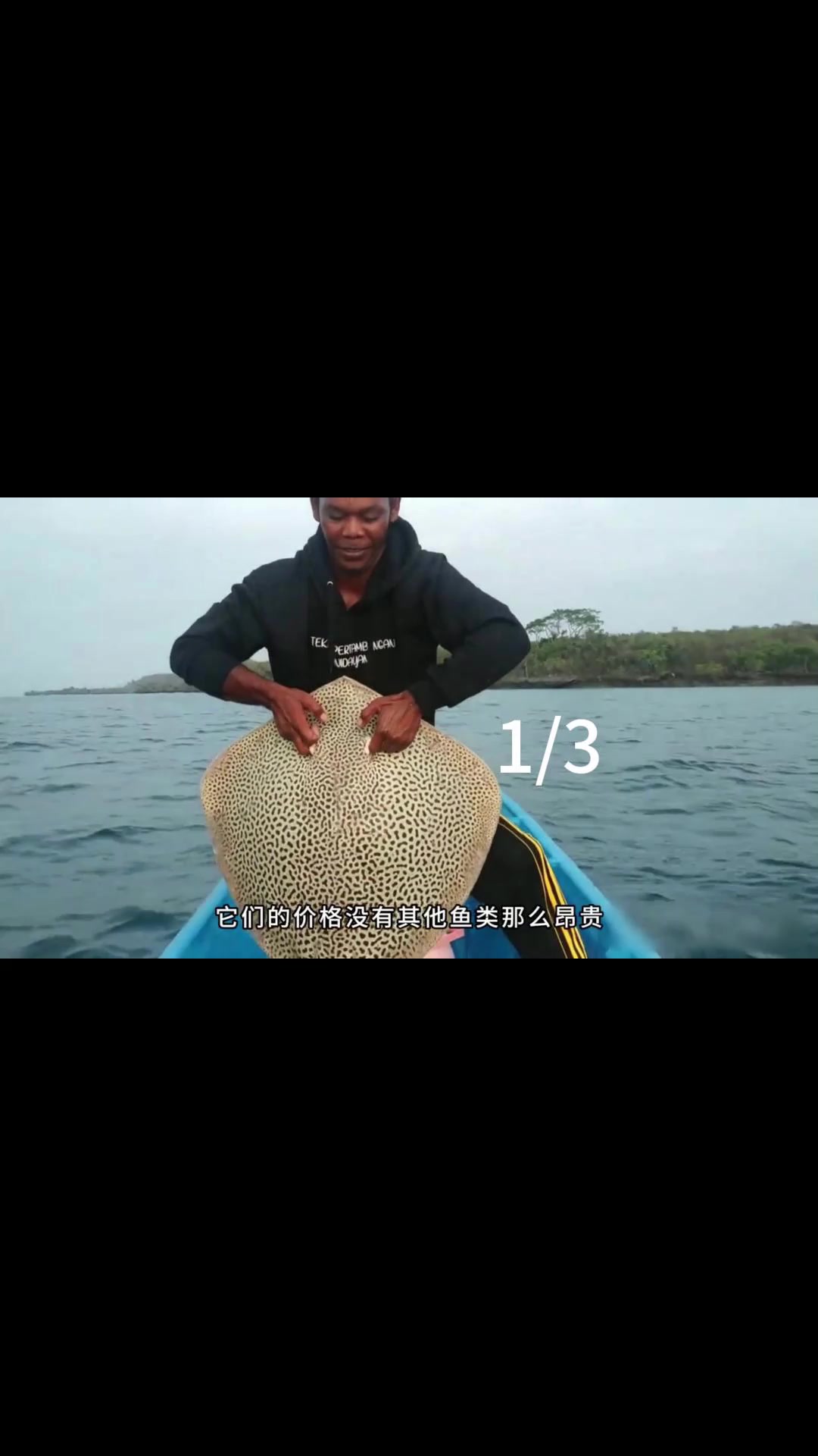 荒野垂钓:渔民在大海中意外钓到巨型黄貂鱼,结果差点被刺穿心脏