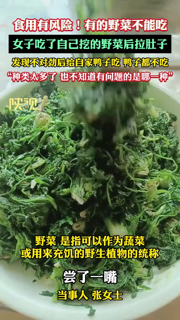 食用有风险!有的野菜不能吃!女子吃了自己挖的野菜后拉肚子,发现不对劲后给自家鸭子吃鸭子都不