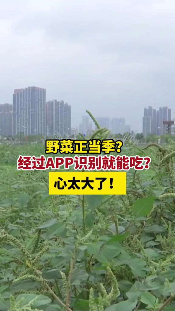 野菜正当季?经过app识别就能吃?心太大了,要多注意!普及知识 转给身边人