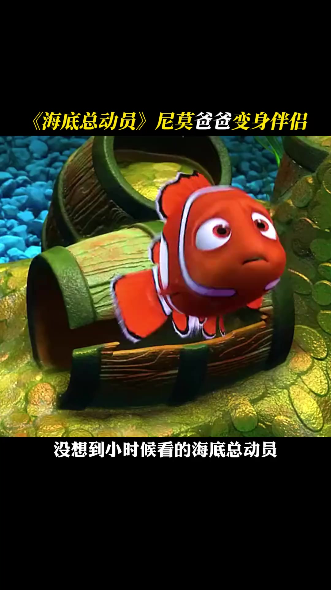 奇奇怪怪的知识又增加了,小丑鱼的爸爸居然不是他的爸爸 海底总动员 小丑鱼尼莫 小丑鱼 冷知