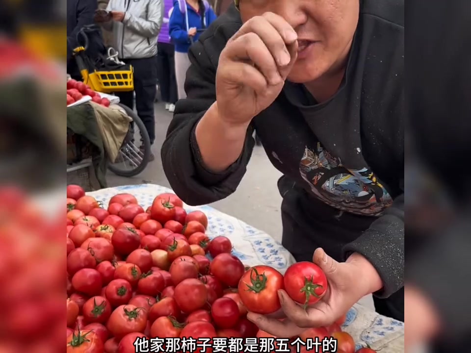 东北早市土豆哥揭秘:早市西红柿挑选大法,让你一次买到好吃甜脆的西红柿,避免踩坑!西红柿怎么