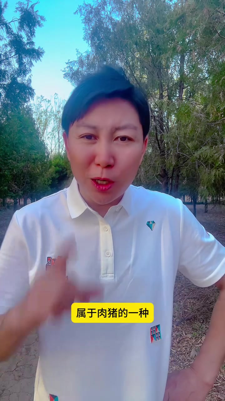 主播都是卖个猪肉的,我想问问那开的那么多黑猪