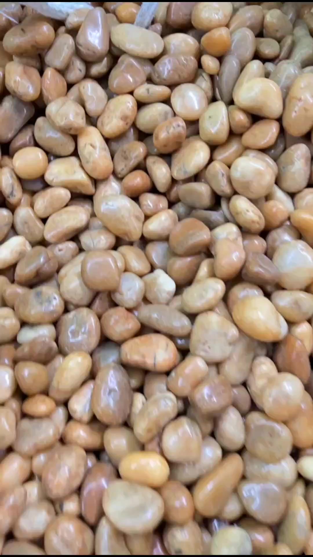 鹅卵石形状独特,黄色,白色种类丰富