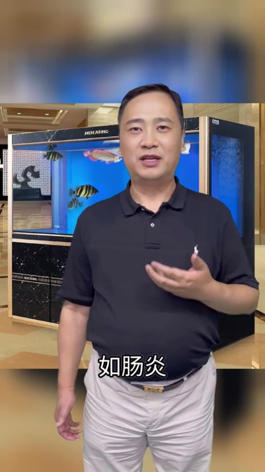 金鱼肚子胀好大怎么回事