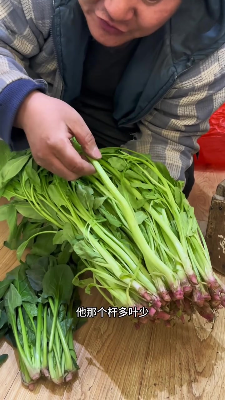 东北早市“挑菜哥”揭秘:早市菠菜挑选大法!让你一次买到新鲜翠绿的菠菜!菠菜怎么挑?大叶菠菜