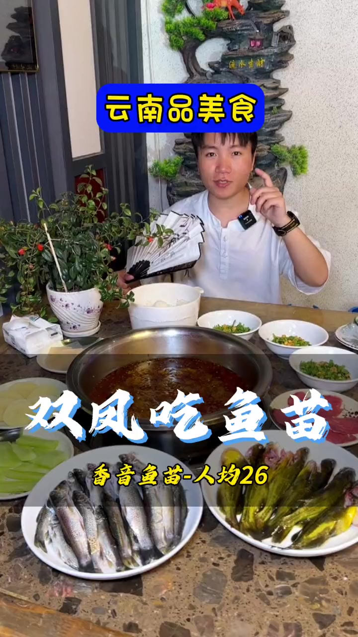 鱼苗和黄辣丁都是活的很新鲜 鱼苗 火锅 黄辣丁 好吃不贵经济实惠 活鱼现杀