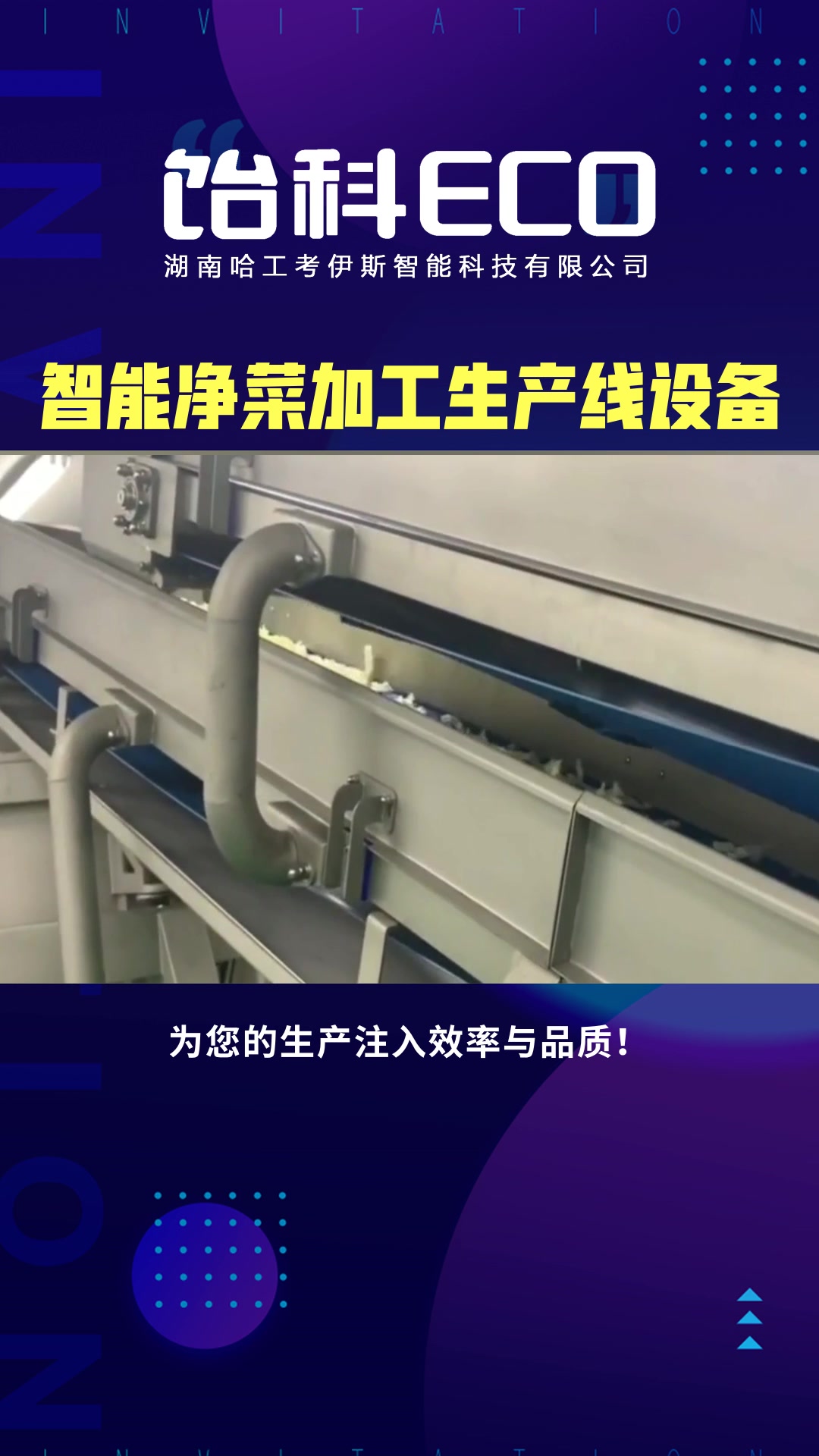 净菜加工生产线设备