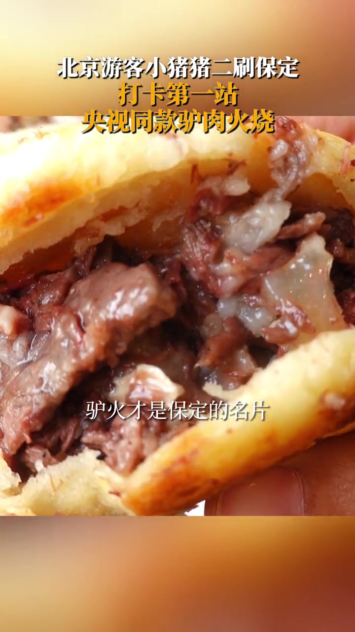 北京游客小猪猪二刷保定,打卡第一站:央视同款驴肉火烧 北京游客小猪猪逛吃保定