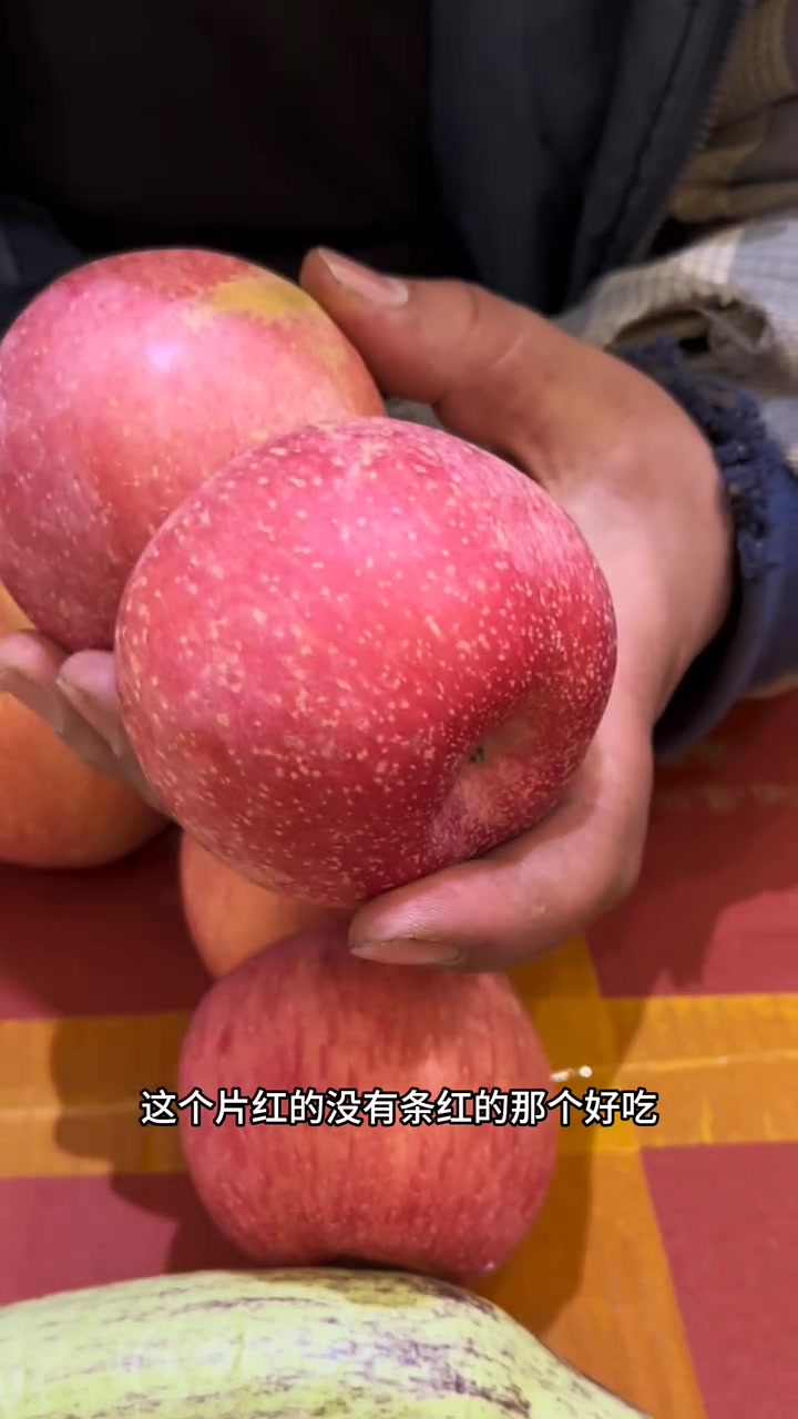 东北早市“挑菜哥”揭秘:早市苹果挑选大法!让你一次买到酸甜可口皮薄无渣的富士苹果!阿克苏苹