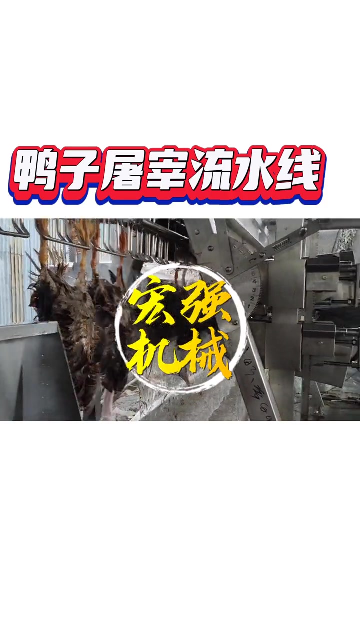 全自动杀鸭子屠宰流水线小型宰鸭流水线