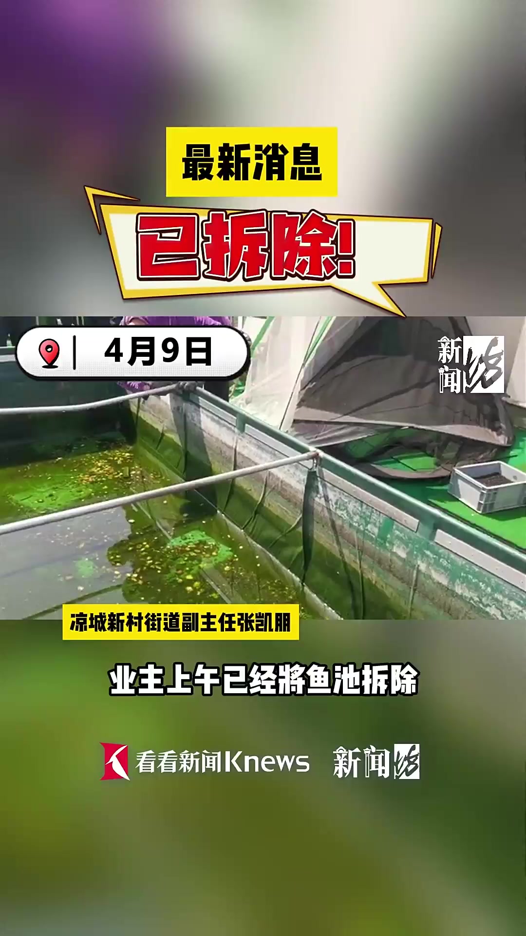 上海官方通报:楼顶“巨型鱼缸”已连夜拆除