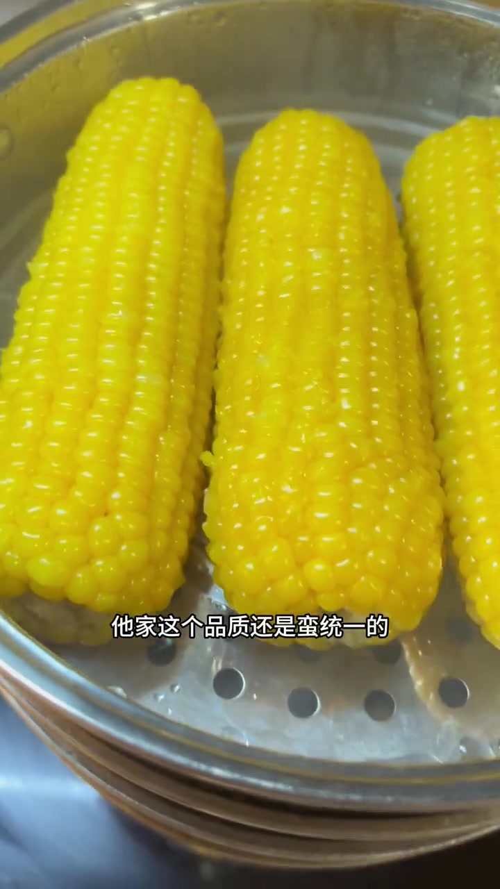夏天快来哦,晚餐吃这个吃饱也没负担 糯玉米 东北粘玉米 软糯香甜