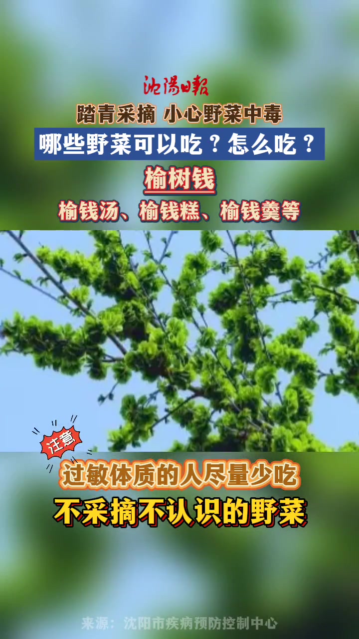 哪些野菜可以吃?怎么吃?野菜 春天 中毒 怎么吃 挖野菜