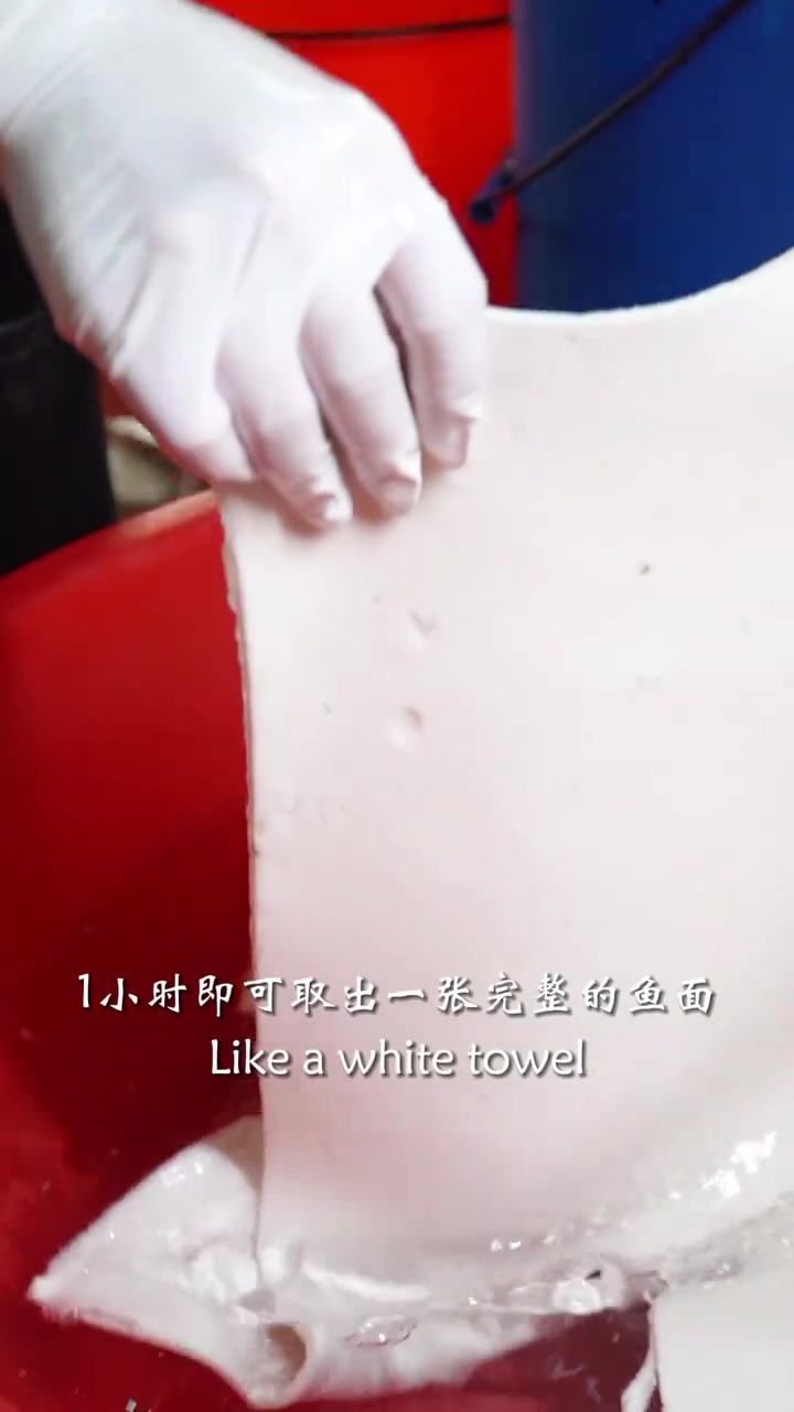 潮汕鱼面,炒着吃可真鲜啊~ 潮汕美食 来汕头旅游就为了吃 深陷潮汕街头烟火气