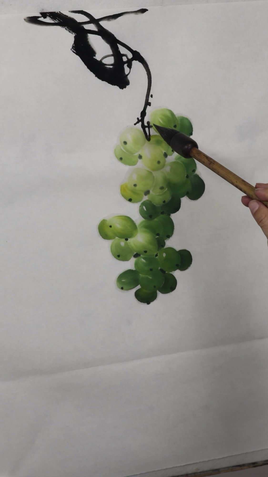 曾靖国画教学写意国画葡萄画法,怎样画出晶莹剔透的葡萄