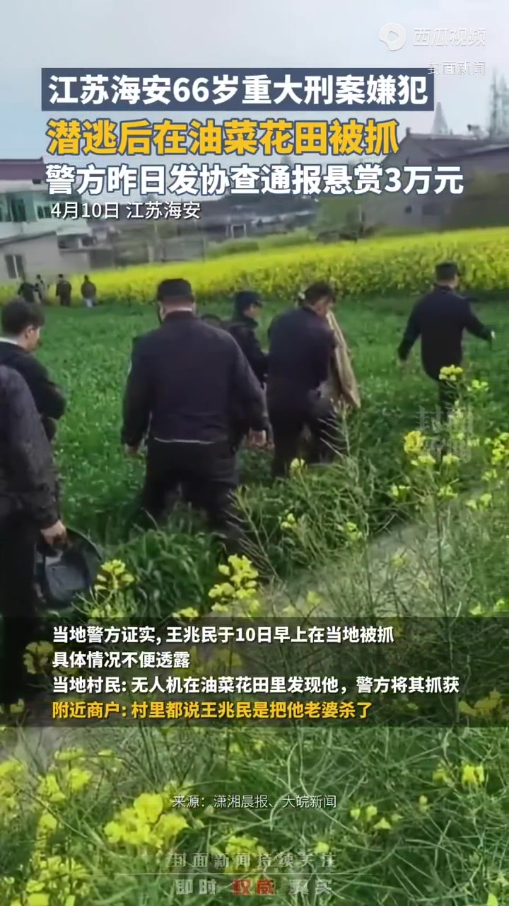 江苏海安66岁重大刑案嫌犯潜逃后在油菜花田被抓,警方昨日发协查通报悬赏3万元
