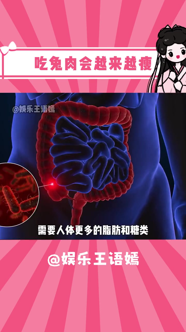 你吃兔肉就相当于得到的全是蛋白质 兔子 减肥 冷知识