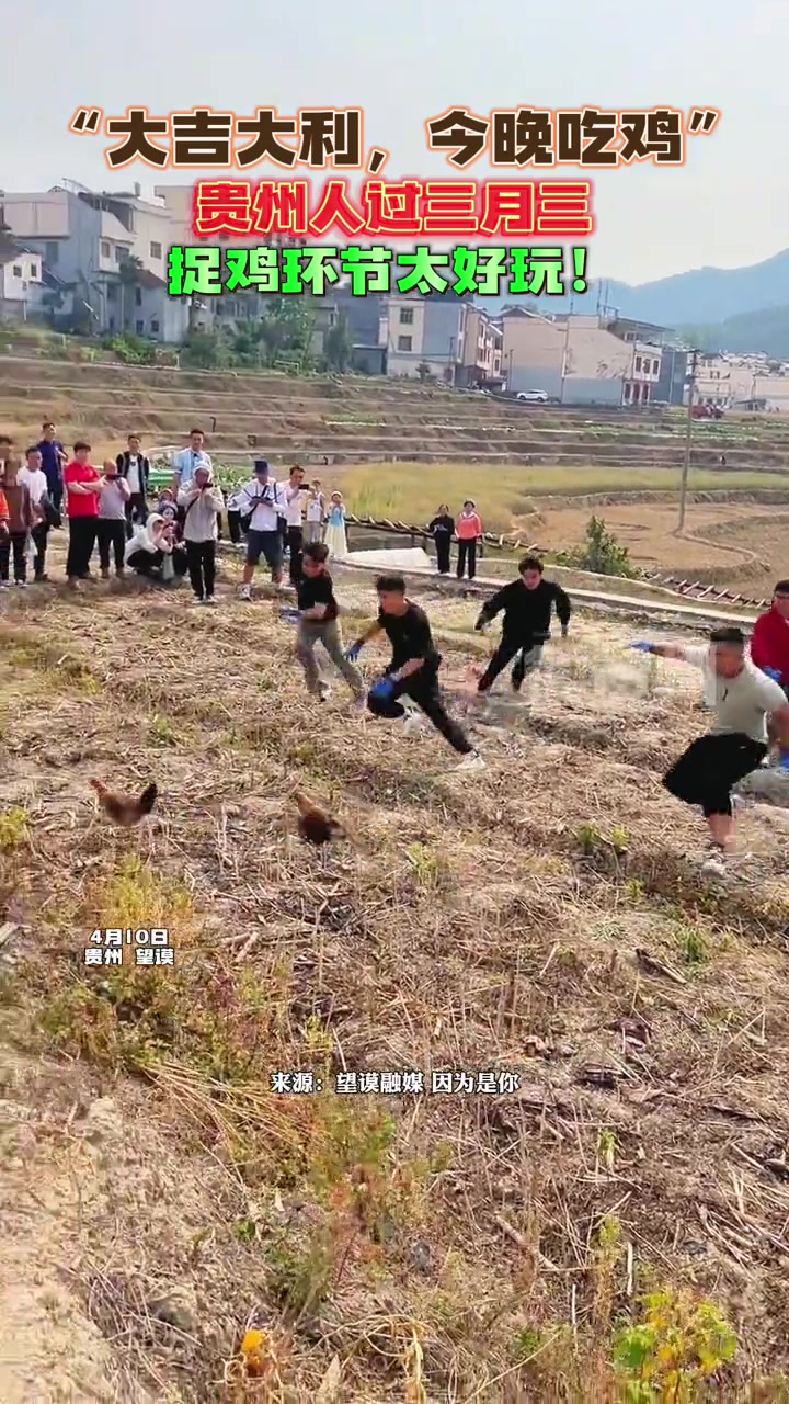 “大吉大利,今晚吃鸡”,贵州人过三月三捉鸡环节太好玩!来贵州上春山