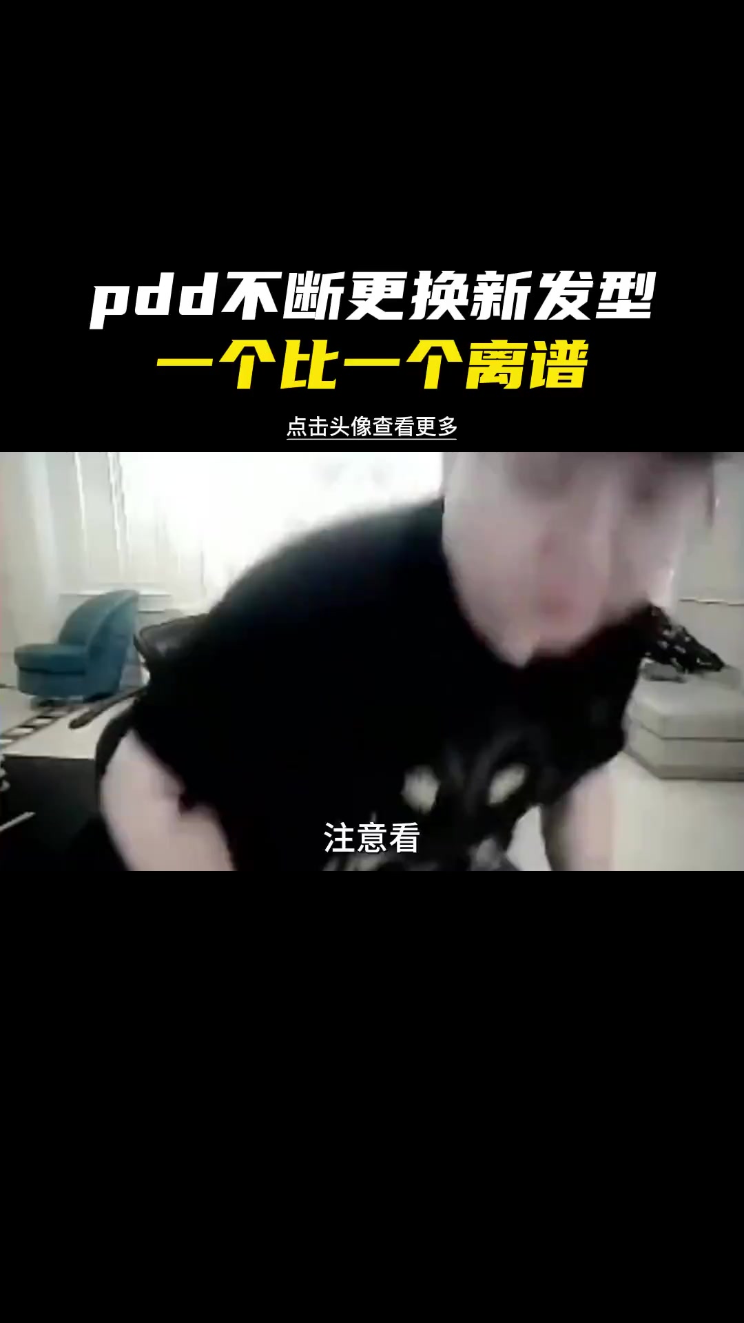 pdd换了新发型,各位看官可还满意?pdd 搞笑 整活 一定要?
