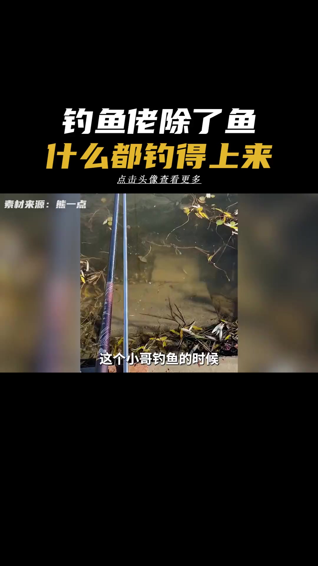 当钓鱼佬喂了一只狐狸,命运的齿轮开始转动 钓鱼佬 命运的齿轮开始转动 离谱 搞笑