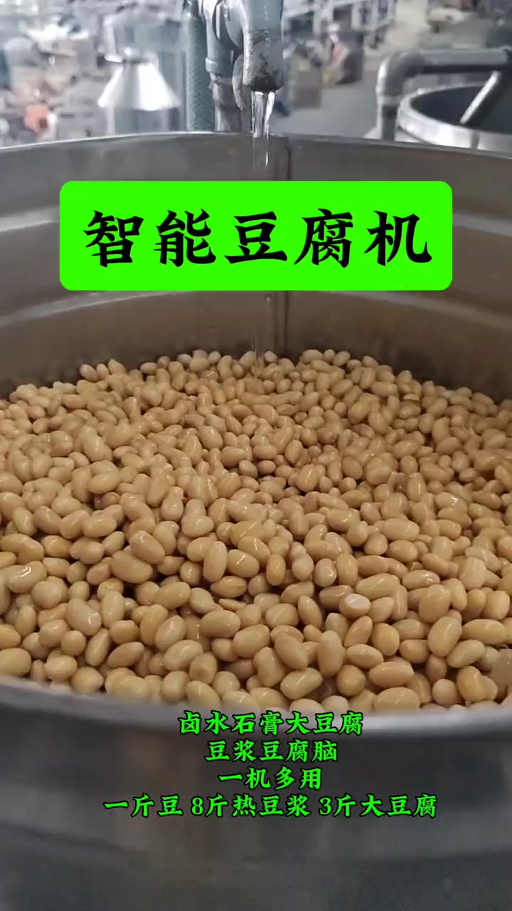 智能豆腐机 卤水石膏大豆腐 豆浆 豆腐脑 一机多用 一斤豆8斤热豆浆 3斤大豆腐 豆制品机