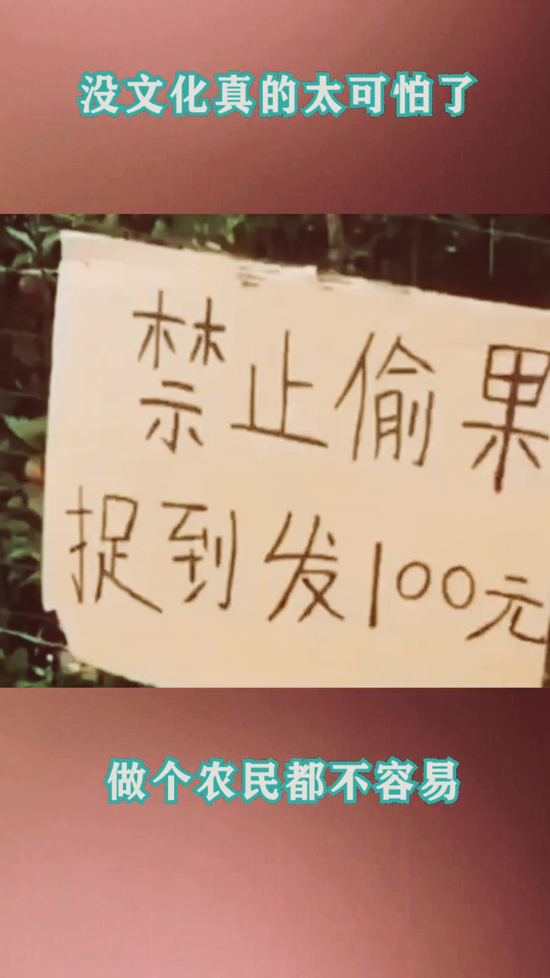 农民为了不让人偷吃,写了一个告示牌,没想到损失更加严重了