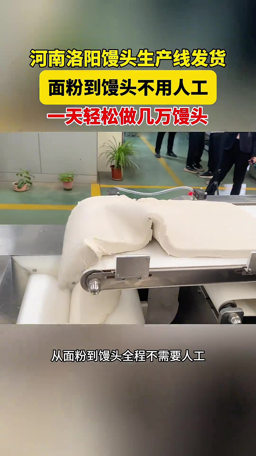 发往河南洛阳的馒头机生产线,从面粉到馒头全程不用人