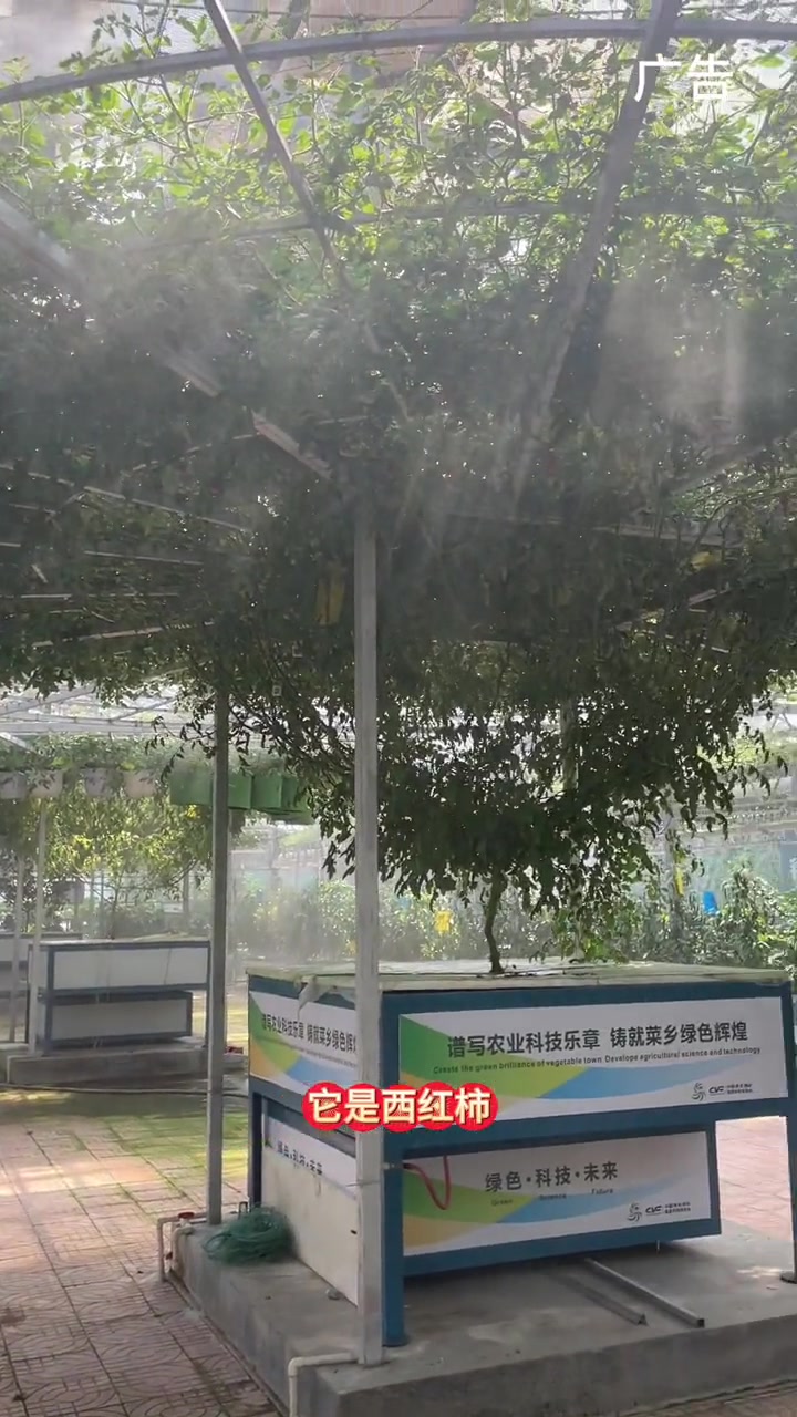 寿光菜博会4月20号开幕!早鸟票速度囤起来!好客山东美美与共 寿光菜博会 小时候去过菜博会