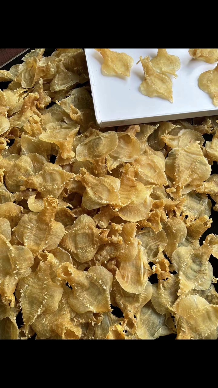 21头本港刺花赤嘴胶,若有条件,千万不要错过本港赤嘴鱼胶补气血