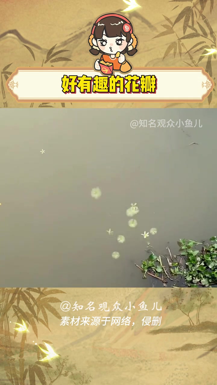 好有趣的花瓣,让我也玩玩