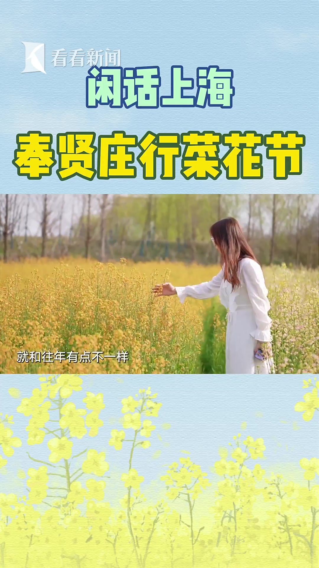 奉贤庄行菜花节