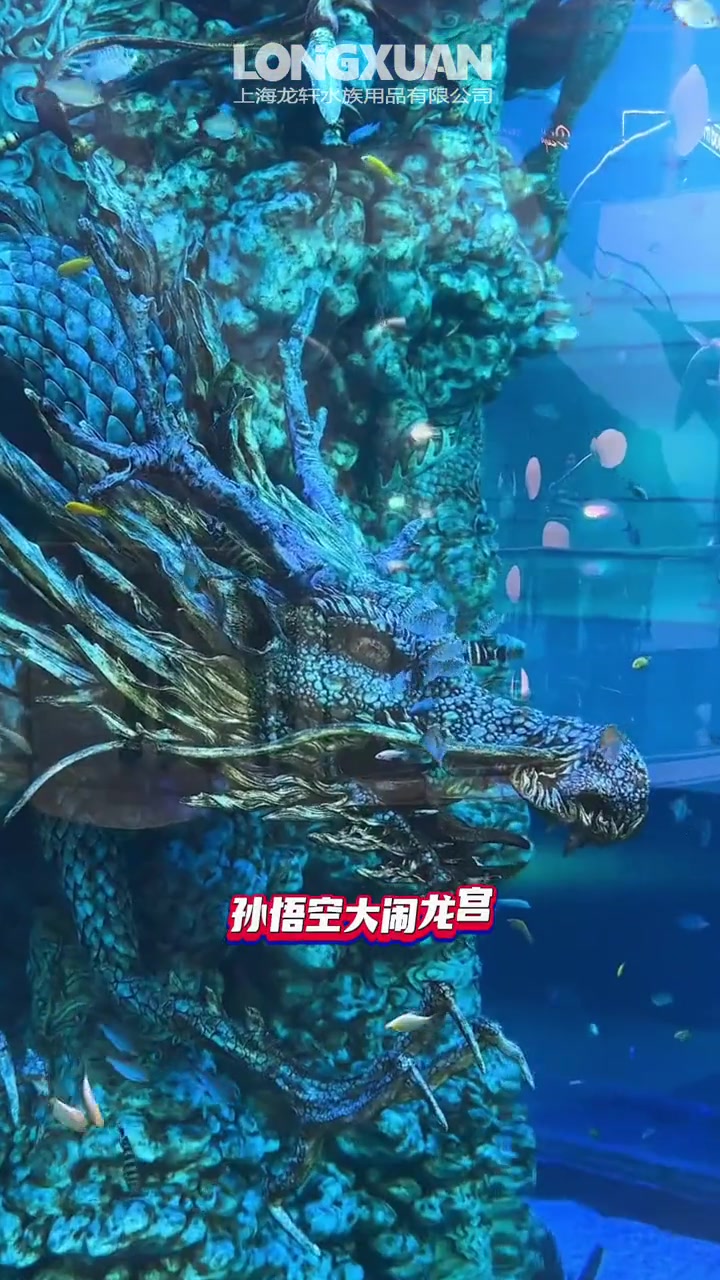 第80集|南昌这个免费的巨型圆柱鱼缸你们去打卡了吗?圆柱鱼缸设计 巨大鱼缸 鱼缸里的大自然