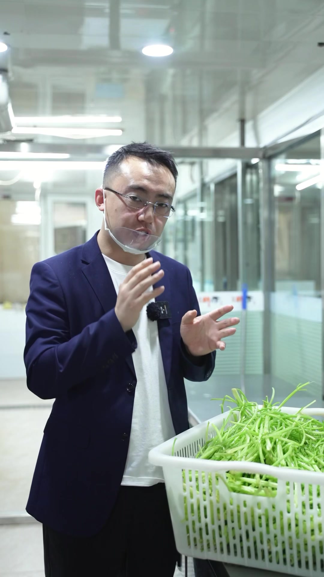 芹菜的三个种类,哪个做饺子好