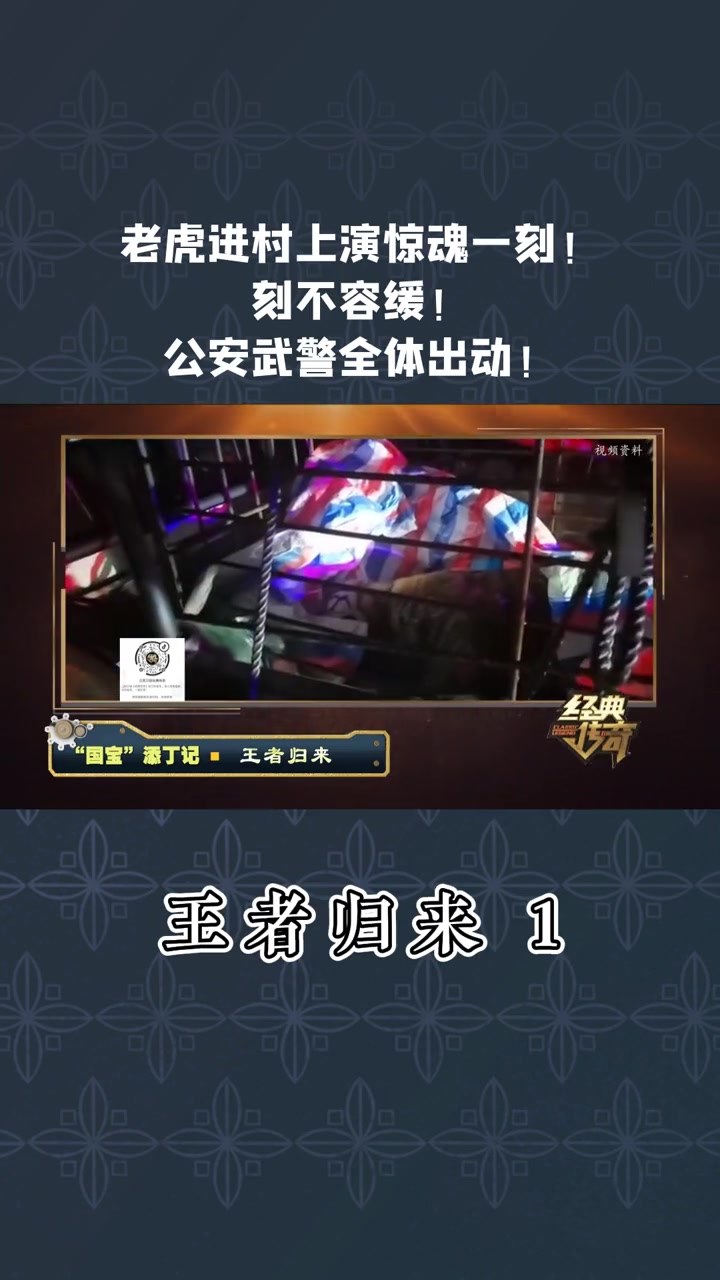 第358集|王者归来 1 老虎进村上演惊魂一刻!刻不容缓!公安武警全体出动!经典传奇 惊魂