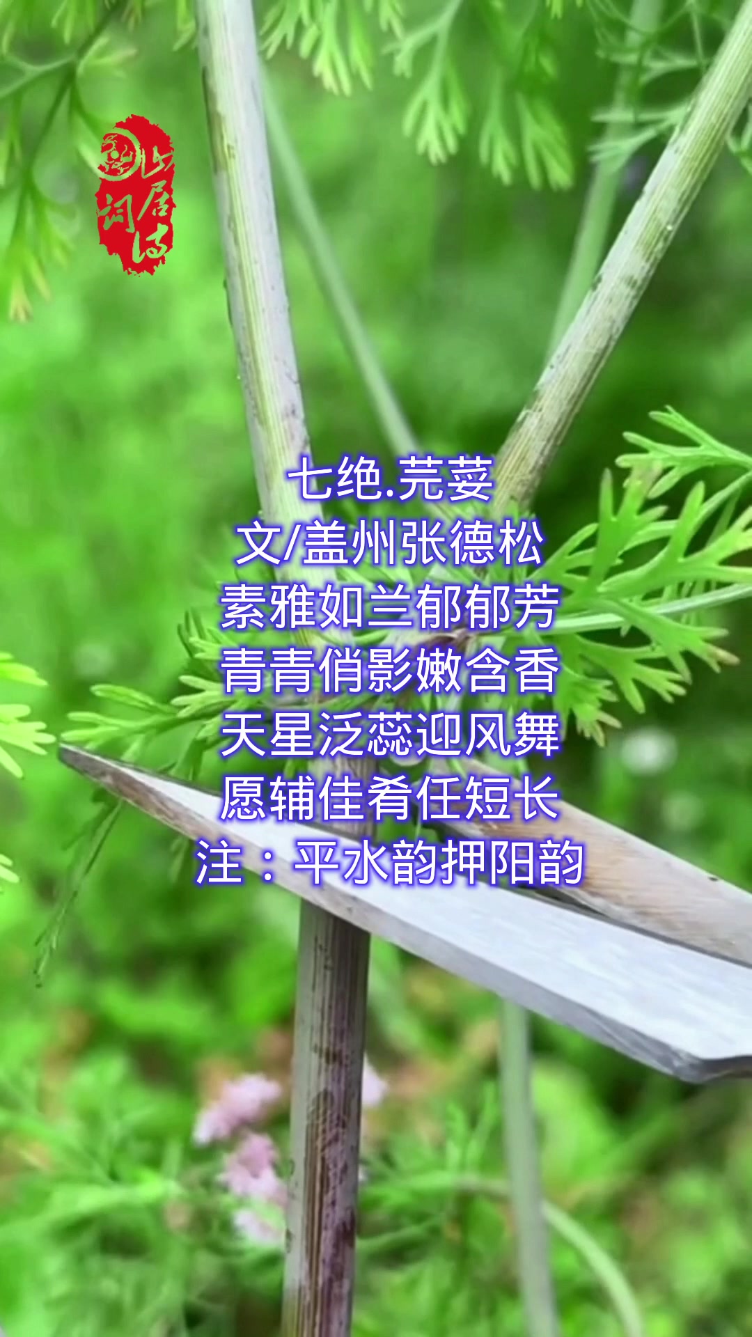 香菜最初的名字你还记得吗?
