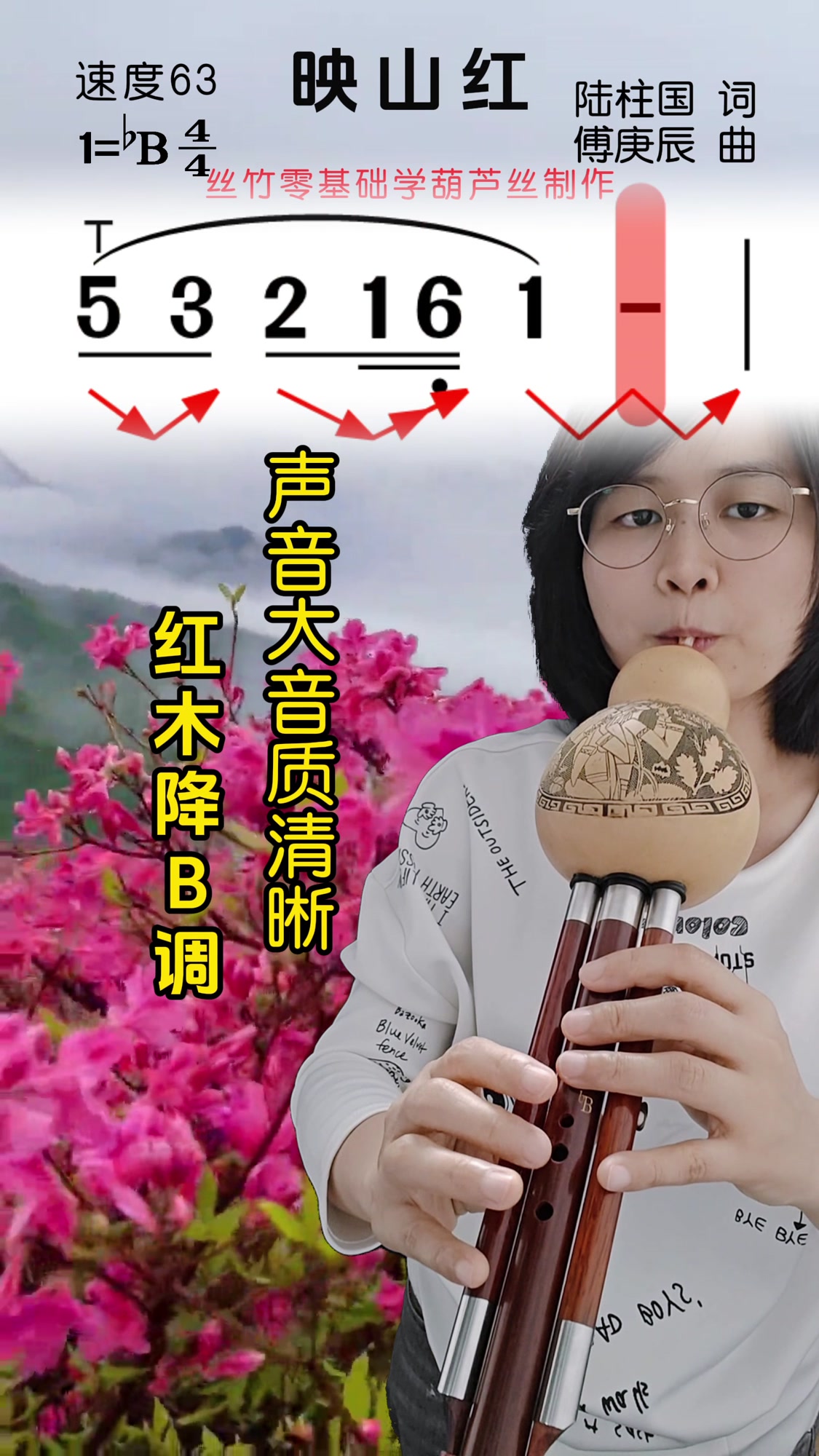 丝竹葫芦丝演奏金典曲目《映山红》慢速动态简谱示范+唱谱