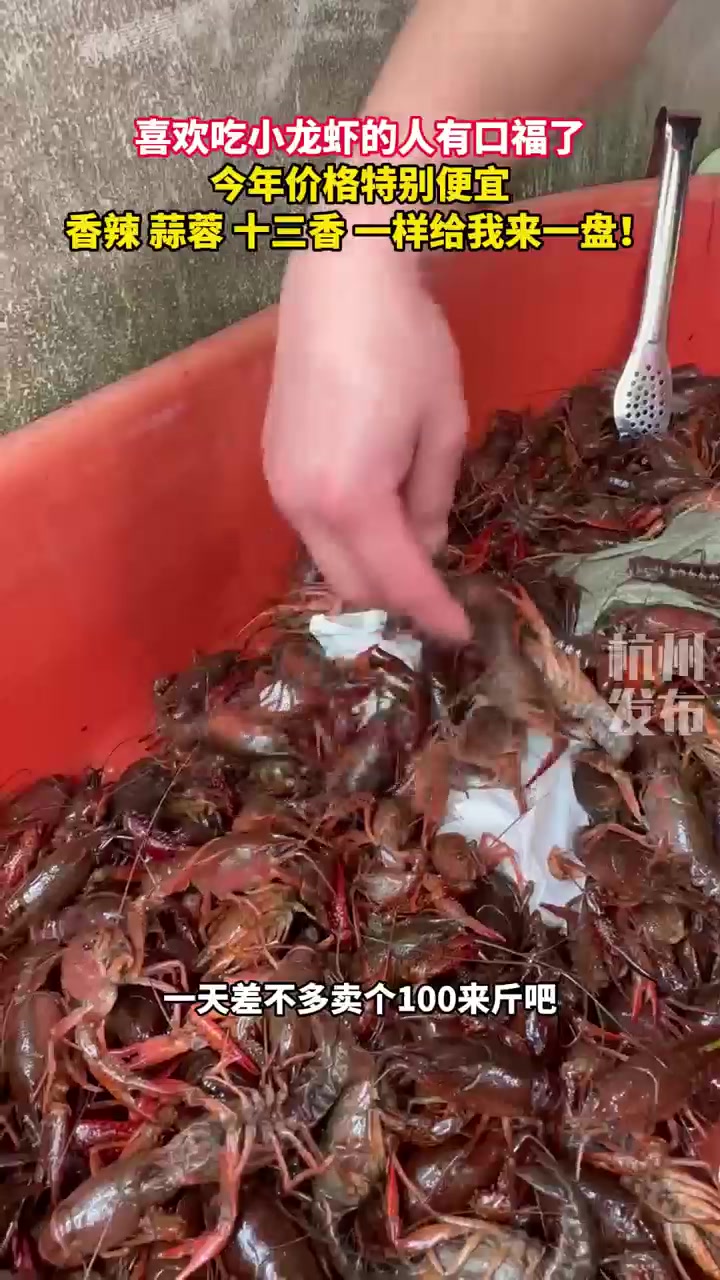 价格降了!杭州人爱的这一口,大量上市!