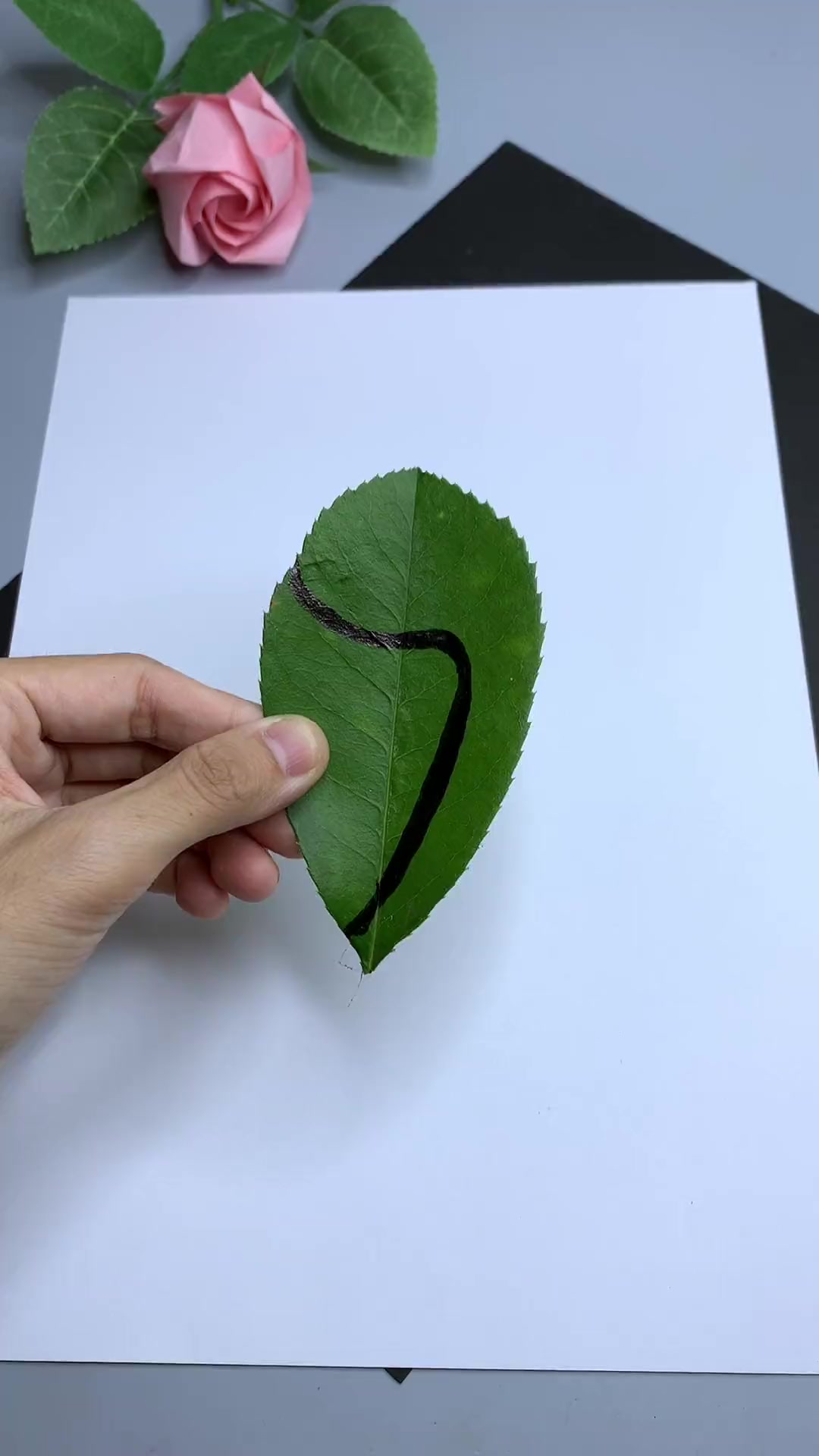 放假了带孩子出去捡树叶吧几张树叶就能粘贴一幅可爱的小恐龙快来试试幼儿园手工树叶贴画亲子手工